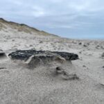 Gammel muld ligger på stranden