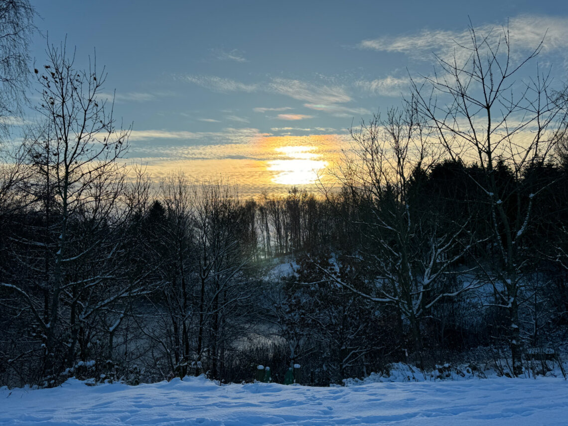 Solen står lavt over vores lokale sø