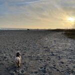 Der er ikke mange mennesker på stranden denne oktober morgen