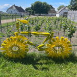 Tour De France feberen har vist ramt Aarø