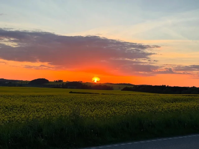 Utrolig smuk aften i går