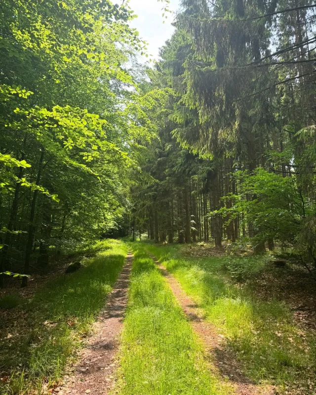 Vandretur omkring Glamsbjerg